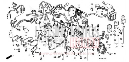 KABELBAUM/ZUENDSPULE (CB1300S/CB1300SA) CB1300SA9 de 2009